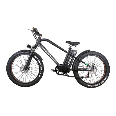 CRUISER(500W)